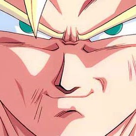 Christopher Hedges Photo 22