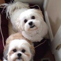 Jane Rutledge Photo 18