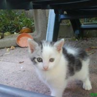 Fred Walter Photo 20