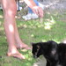Holly Miller Photo 42