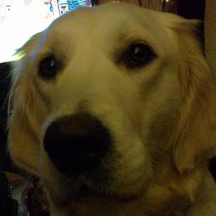 Thomas Corcoran Photo 40