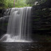 Glen Harrison Photo 18