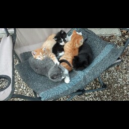 Beverly Townsend Photo 6