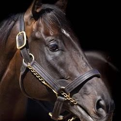 Rita Rogers Photo 28