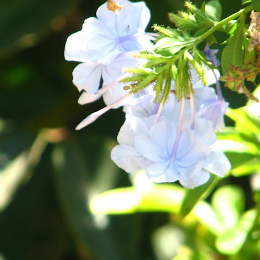 Rachel Kessler Photo 17