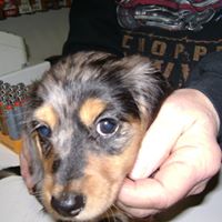 Vickie Washburn Photo 19