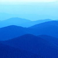 Betty Adkins Photo 33