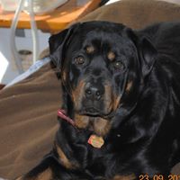 Michael Hawes Photo 23