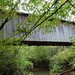 Andy Herman Photo 24