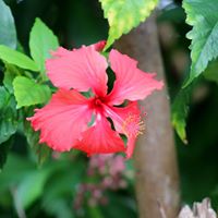 Julie Hines Photo 12