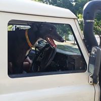 Alan Wickham Photo 9