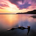 Raymond Arvin Photo 12