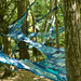 Mandy Long Photo 30
