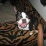 Dylan Azevedo Photo 7