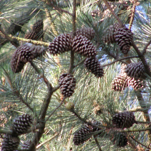 Nancy Sumner Photo 14