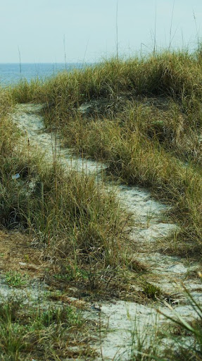 Elizabeth Tester Photo 1