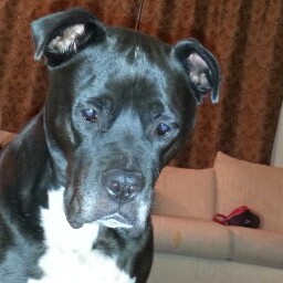 Timothy Kaminski Photo 16