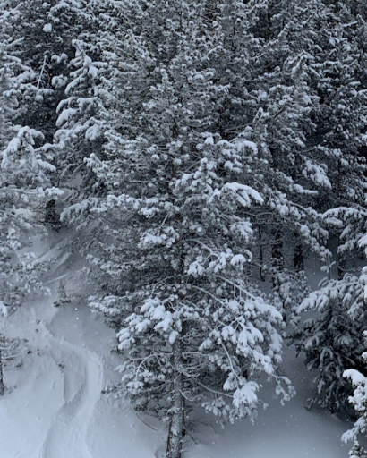 Harry Ritchie Photo 12