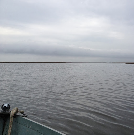 Elizabeth Cotter Photo 19