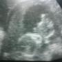 Christina Chaney Photo 13