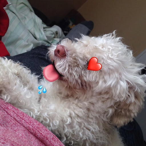 Anthony Vital Photo 3