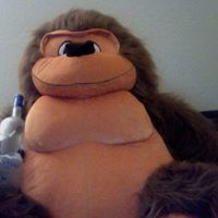 Gregory Gore Photo 15