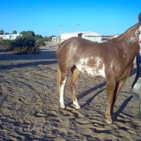 Rick Shepard Photo 29