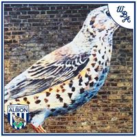 Karl Taylor Photo 38