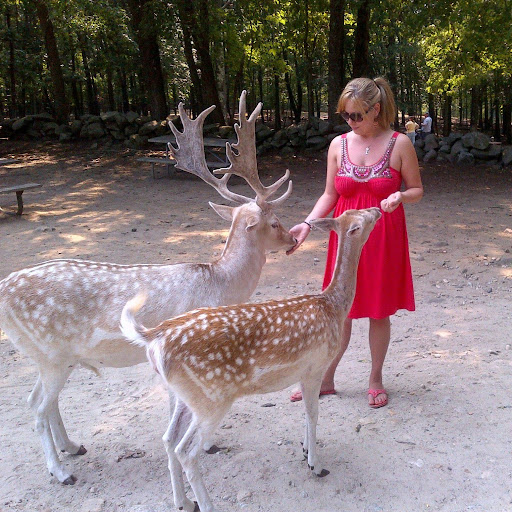 Alicia Watson Photo 40