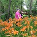 Pamela Fields Photo 39
