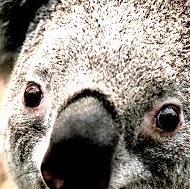 Marilyn Pendleton Photo 7