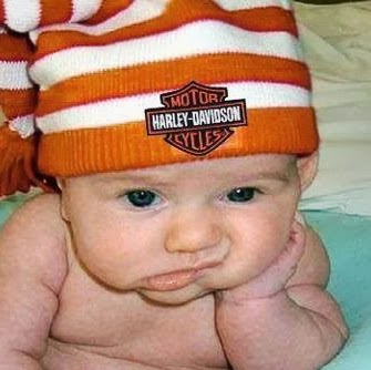 Nancy Schuster Photo 16