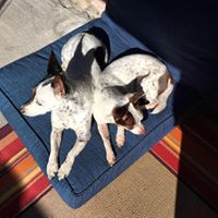 Jill Andrews Photo 25