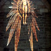 Angel Burgos Photo 25