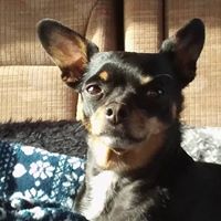 Debra Simms Photo 32