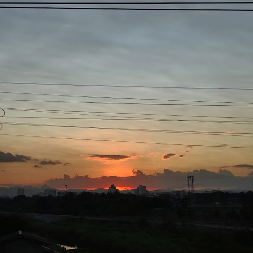 Eileen Devine Photo 12