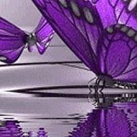 Nancy Lemke Photo 12