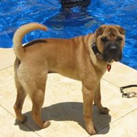 Freddie Wheeler Photo 20