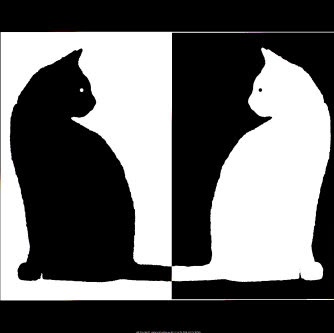 Jillian Fox Photo 32