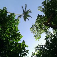 Cathy Chang Photo 25