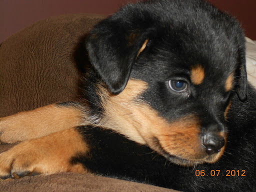 Janet Caldwell Photo 31