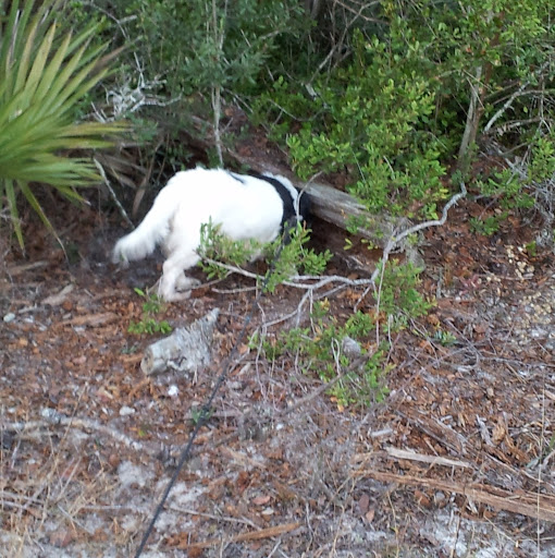 Lj Anderson Photo 16