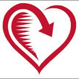 Dionicio Gonzalez Photo 11