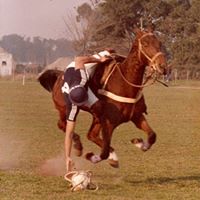 Jose Calavia Photo 1