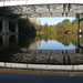 Ann Rivers Photo 7