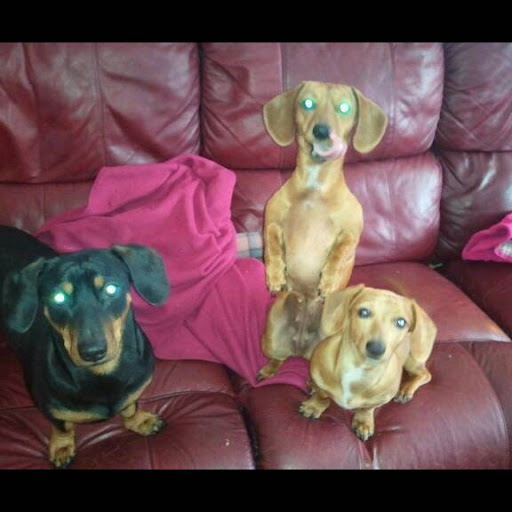 Debbie Hawk Photo 40