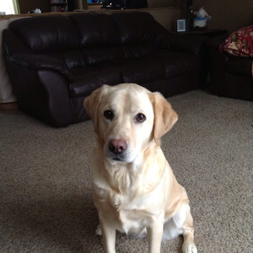 Catherine Phelps Photo 19