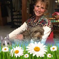 Carol Stauffer Photo 11