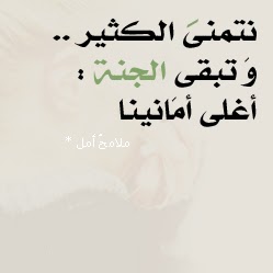Marwa Mansour Photo 8