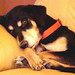 Patty Scully Photo 11